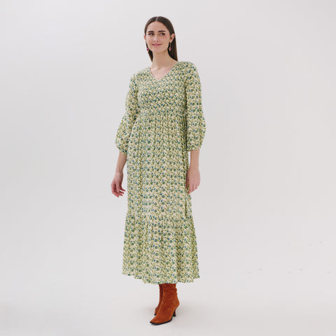 Tanvi blue garden dress